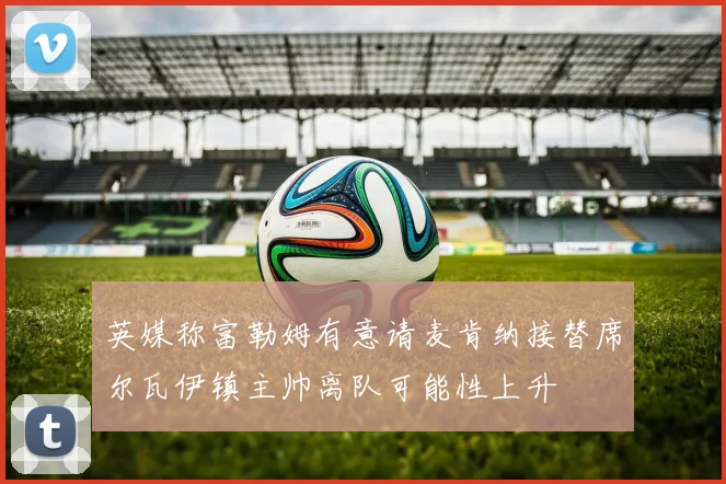 英媒称富勒姆有意请麦肯纳接替席尔瓦伊镇主帅离队可能性上升