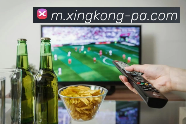 扫码下载 App